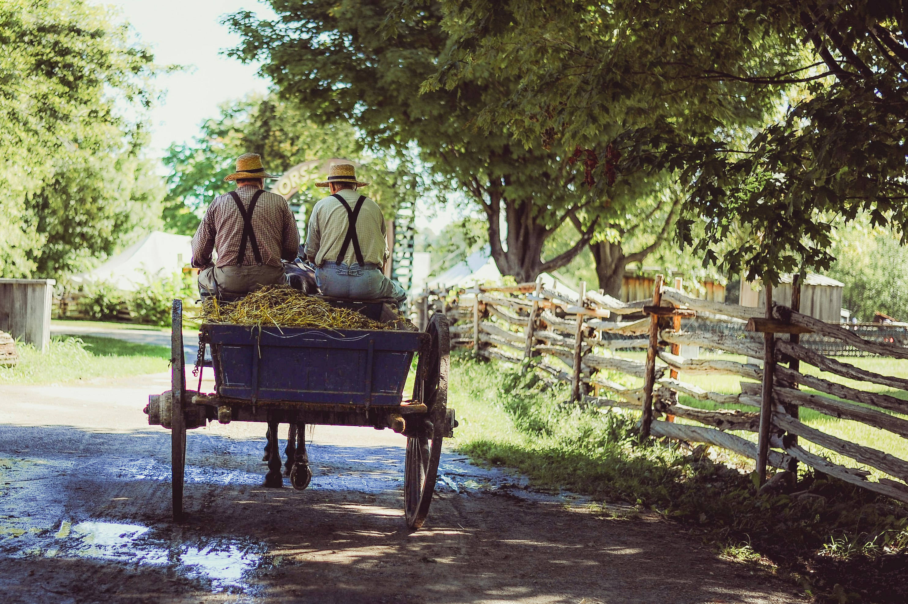 two person riding horse with carriage